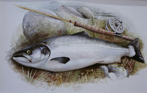 Salmon watercolour sporting picture • John Nicholson Fine Art